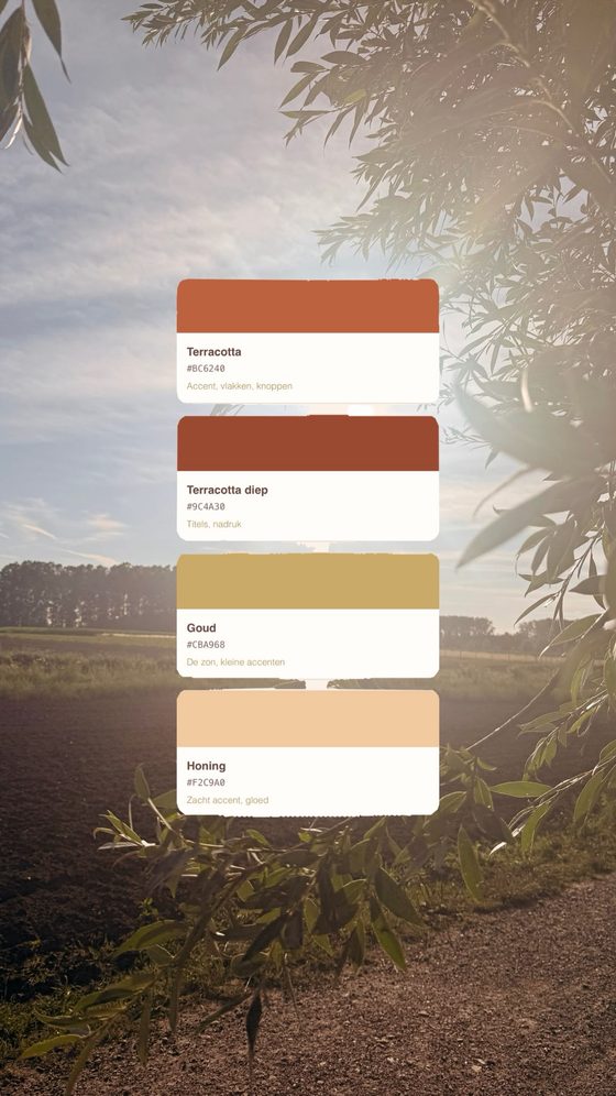 Kleurenkaartje met Terracotta, Terracotta diep, Goud en Honing met hun hex-codes
