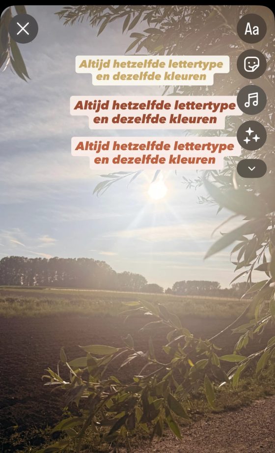 Een afgewerkte story met tekst in de merkkleuren goud en terracotta
